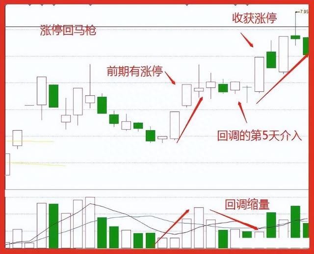 炒股15年，用最笨最简单的炒股方法，只买一种股票，赚到怀疑人生