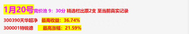 2021版竞价池升级 早盘竞价自动计算排名精选 固定出票2支。