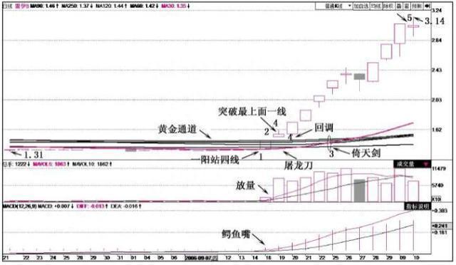 中国股市：为什么股票大跌时能拿住还不断的补仓，稍微涨一点就拿不住了作为投资者怎么看