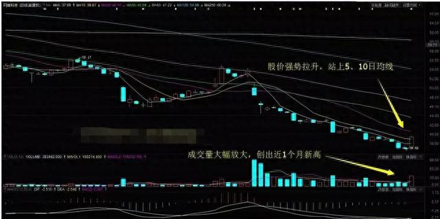 中国股市：把成交量运用到极致，轻松看清主力踪迹，散户务必收藏