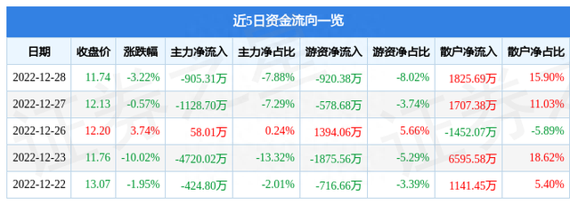 康强电子（002119）12月28日主力资金净卖出905.31万元