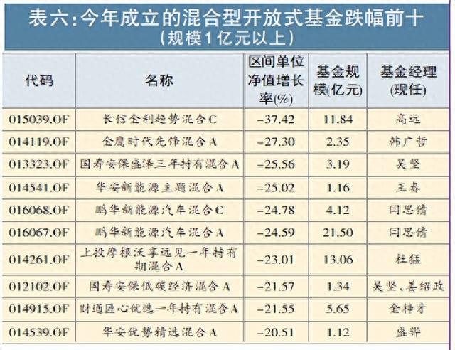 2022牛股牛基大盘点