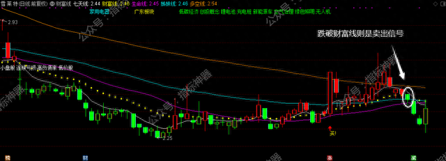 【指标】炒股只看“财富线”，只抓黑马不简单