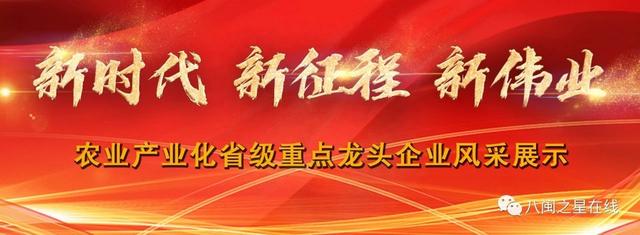 高质量发展谱新篇｜锦丰米业入选农业产业化省级重点龙头企业榜单