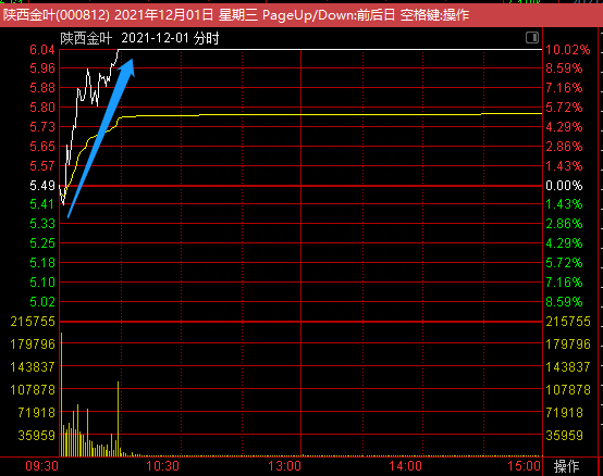 陕西金叶上演机构游资大战，作手新一6万手大单砸崩涨停板