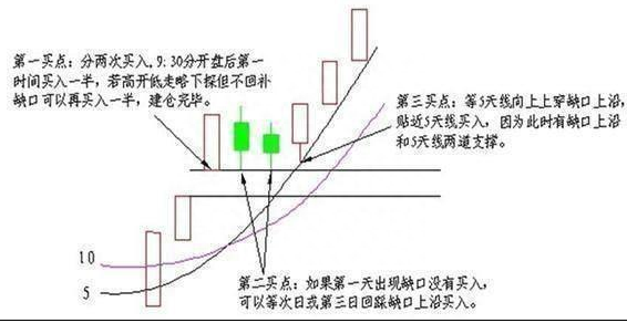 厦大女博士罕见发声：股价已经跌到了历史新低，为什么主力依旧低位出货对股民最真诚的劝告