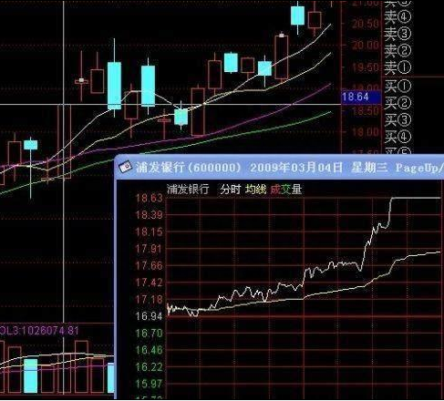 厦大女博士罕见发声：股价已经跌到了历史新低，为什么主力依旧低位出货对股民最真诚的劝告