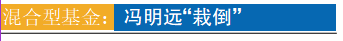 2022牛股牛基大盘点