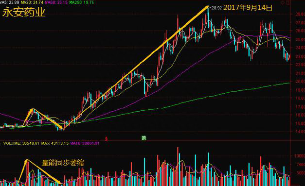 股市中永恒的黄金定律：成交量决定个股走势，只需看一眼便能分清主力“洗盘”还是“出货”