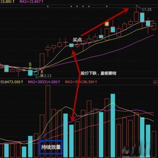 厦大女博士罕见发言：股民11年前投资了腾讯股票10万元，现在总分红有多少呢原来这才叫真正的价值投资