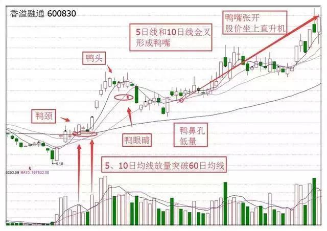 终于有A股大佬发声了：股价已经跌到全部股东都套牢了，应该空仓等待还是满仓进场作为投资者怎么看