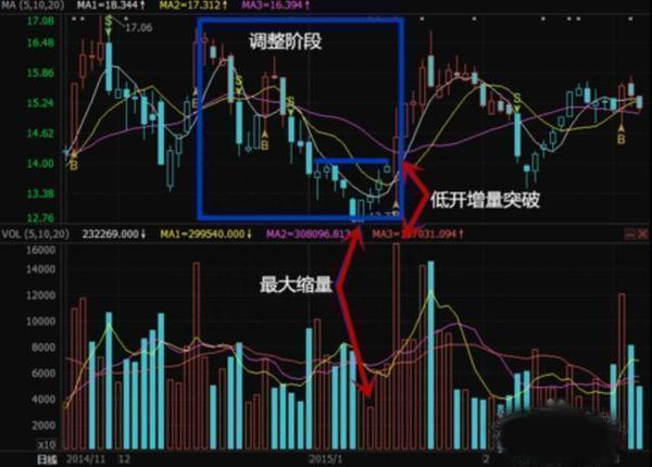 厦大女博士罕见发言：股民11年前投资了腾讯股票10万元，现在总分红有多少呢原来这才叫真正的价值投资