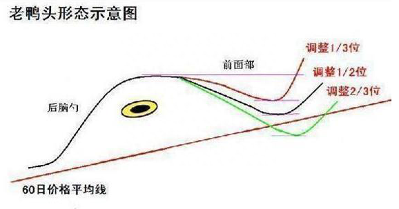 主力“骗线”让你总卖在拉升前牢记“月线看趋势，周线看上下，日线看买卖”，再凶狠的主力也无可奈何