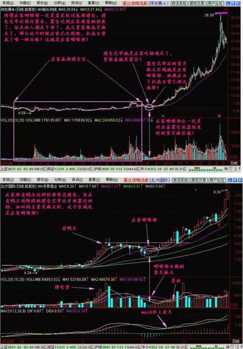 犹太人直言只有傻瓜才能在股市里挣钱，务必牢记“跌不下去就涨，涨不上去就跌”，命中成功率高得惊人