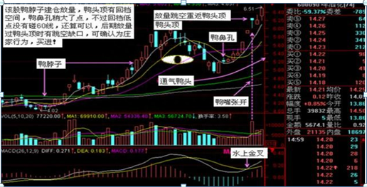 “大阴线洗盘”是主力最凶狠的洗盘手法，悟透，几乎日日捕捉涨停股，只有5万资金也能快速赚到80万