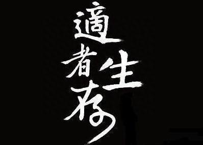 厦大女博士罕见发言：股民11年前投资了腾讯股票10万元，现在总分红有多少呢原来这才叫真正的价值投资