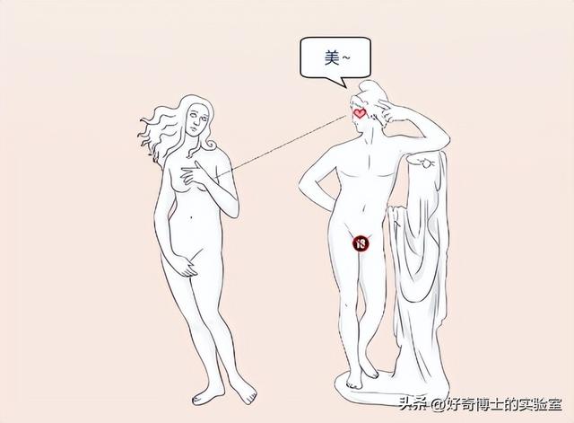 这些胸部小知识，建议男生都替女朋友看看