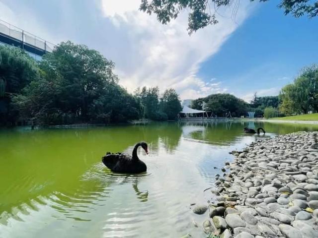 是谁打翻了调色盘，把美丽的颜色洒在了九里亭