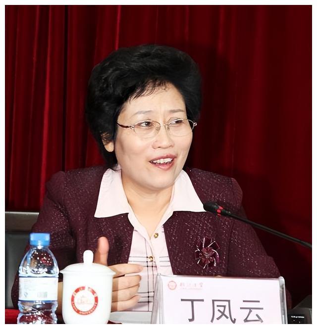 两面书记丁凤云：拒绝给女儿开后门被赞无私，暗地里敛财从未停止