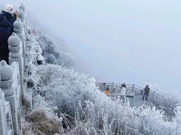 下雪啦！四川多地开启降雪模式