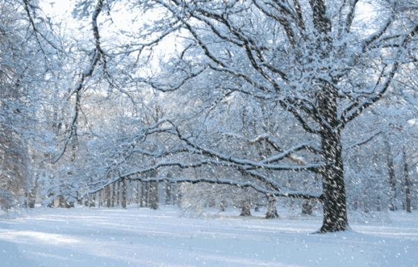 降雪来袭！气温骤降14℃！陕西省气象局刚刚发布