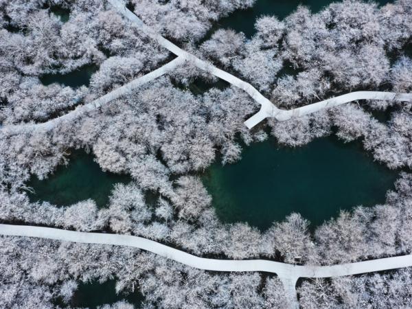 下雪啦！四川多地开启降雪模式