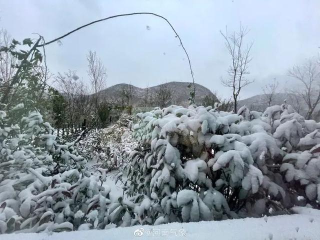 湖北下雪啦！气温接着降