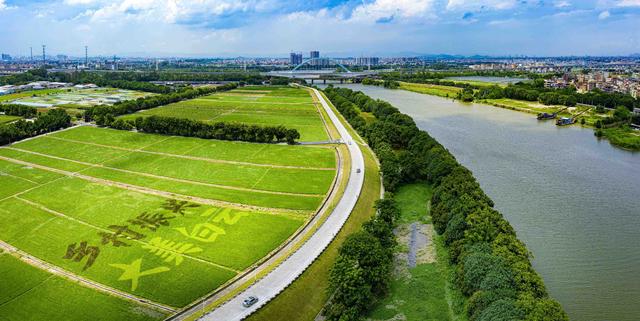 云起新篇㉑丨人和镇：都市近郊“田野仙踪”，勾勒景美人和新画卷