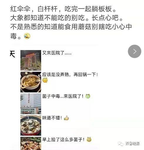 “会吃到毒蘑菇吗”1亿网友操碎了心！大象：管好你自己