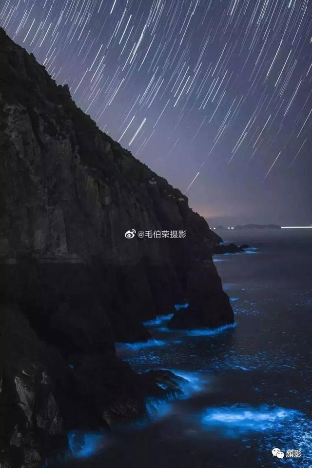 就为这一奇观，不少人连夜出发！浙江沿海惊现绝美“蓝眼泪”，怎么形成的今晚还有吗