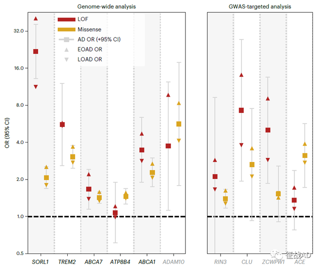 通过外显子测序，AD的罕见遗传风险因素