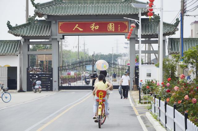 云起新篇㉑丨人和镇：都市近郊“田野仙踪”，勾勒景美人和新画卷