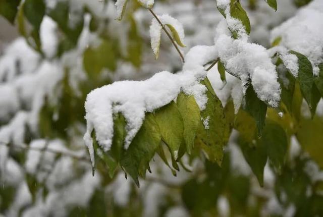 湖北下雪啦！气温接着降