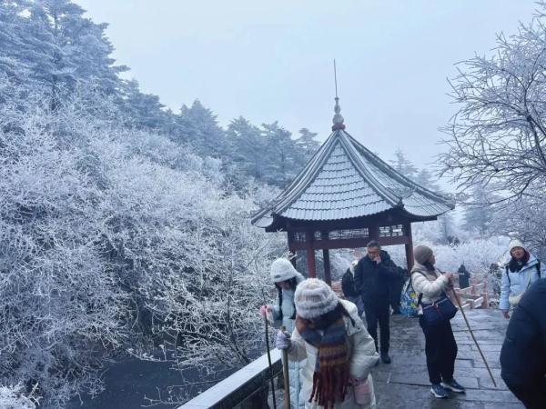 下雪啦！四川多地开启降雪模式