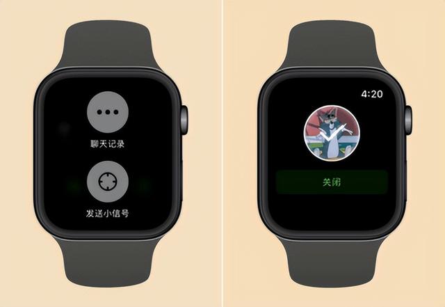 使用一个月后，Apple Watch实用功能分享