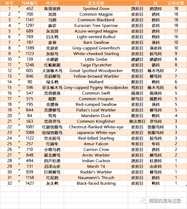 北京朝阳区窑洼湖公园五月份观鸟小结