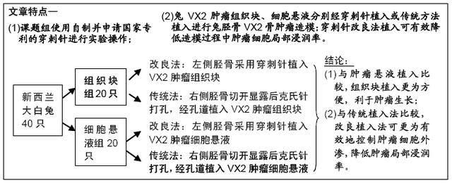 建立兔胫骨VX2骨肿瘤模型的方法