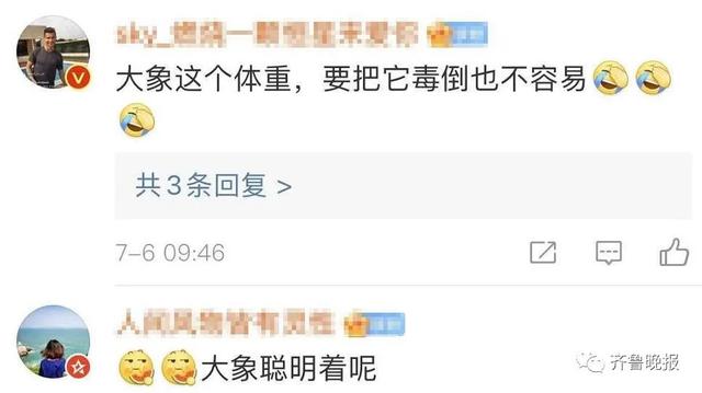 “会吃到毒蘑菇吗”1亿网友操碎了心！大象：管好你自己