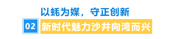 寻味广东，宝安沙井开启“蚝”门盛宴