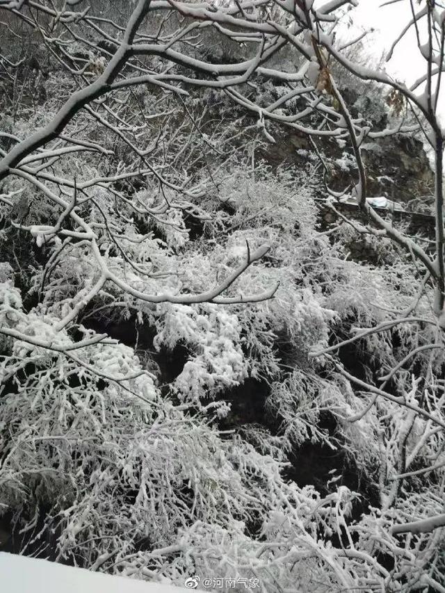 湖北下雪啦！气温接着降