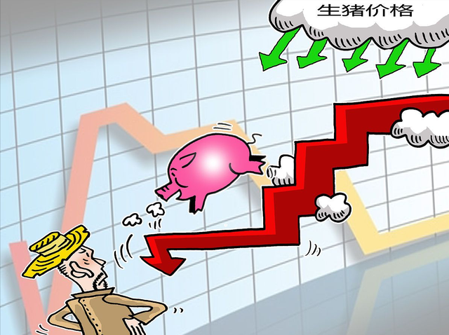 9天下跌3.5%，猪价跌破“底线”，会不会报复性上涨1月11日猪价