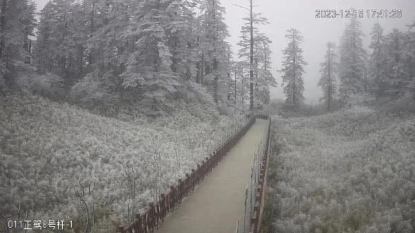 下雪啦！四川多地开启降雪模式