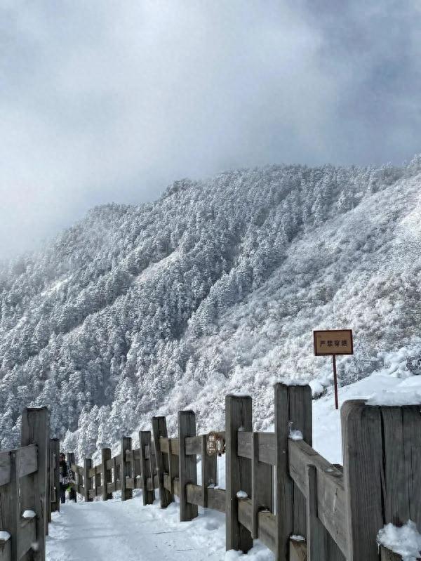 下雪啦！四川多地开启降雪模式