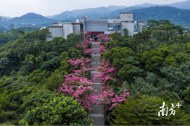 东莞18个A级景区春节期间免门票！攻略来啦→