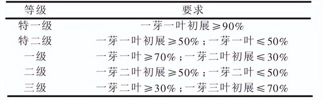 你没喝过的小众徽茶之——舒城小兰花