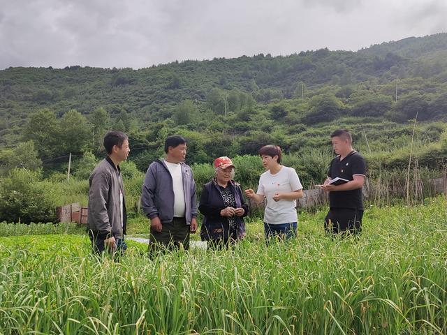 榜样｜康巴高原的格桑梅朵