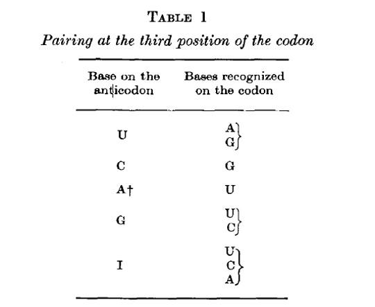 原来生物体内的tRNA的种类这般多样