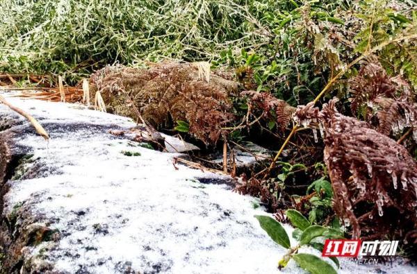 下雪啦！湖南今冬第一场雪，落在了这里