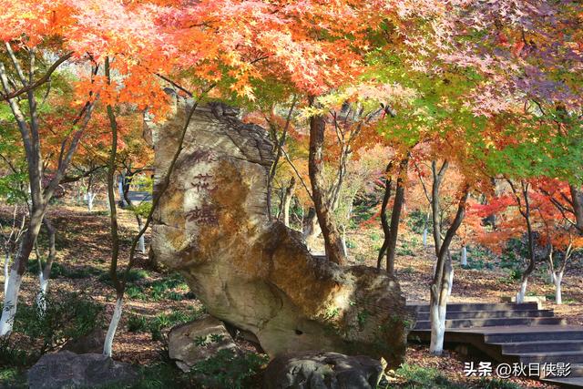 南京攻略｜栖霞山从哪个门进比较好，游览路线推荐