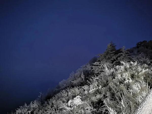 下雪啦！四川多地开启降雪模式